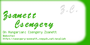 zsanett csengery business card